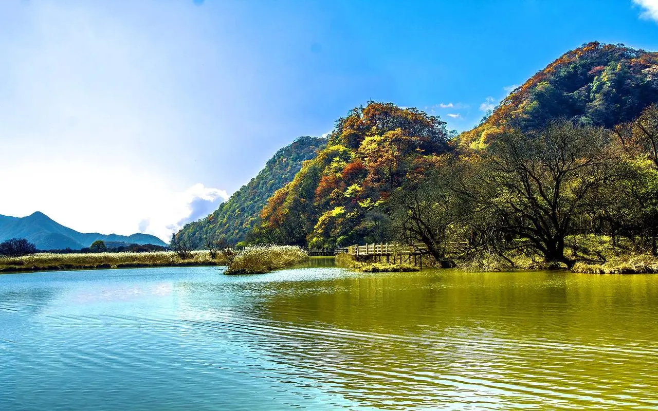 节能高效高端
